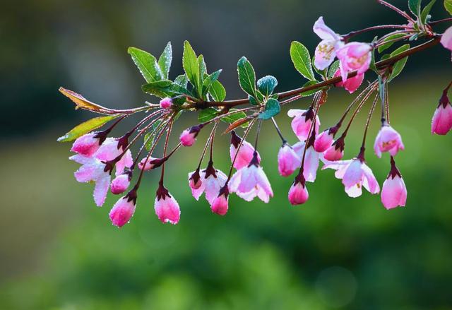 街角记录 — 美食地图·沉浸版 缩略图