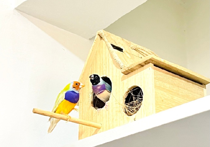 一镜到底 — 舞台瞬间·沉浸版 缩略图