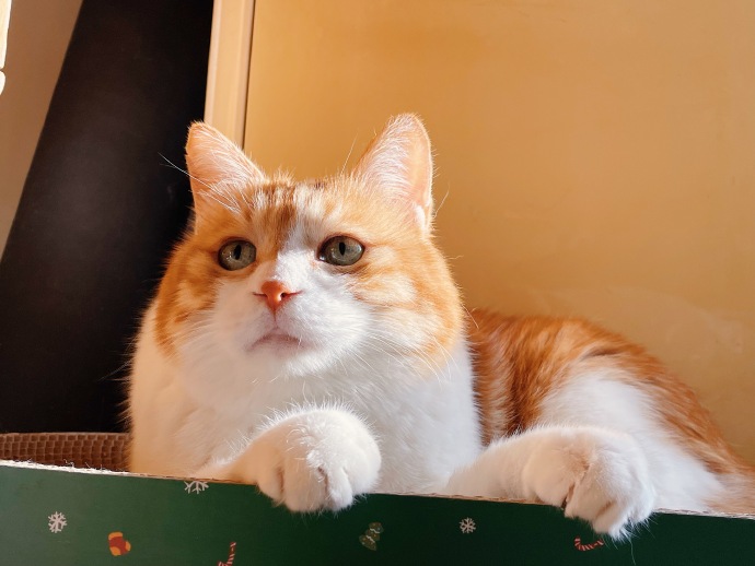 高光片段 — 手作工坊 封面