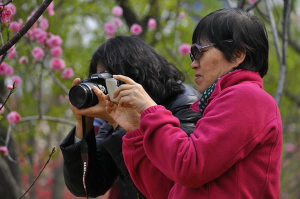 七七记录号 头像